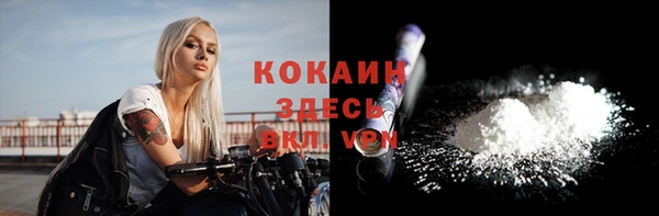 не бодяженный Михайлов