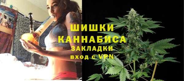 2c-b Медвежьегорск