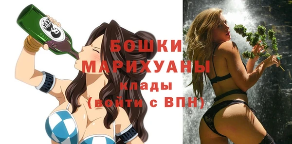 индика Алексеевка